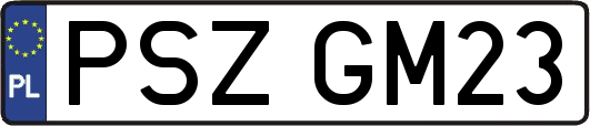 PSZGM23