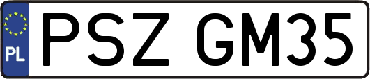 PSZGM35