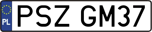 PSZGM37