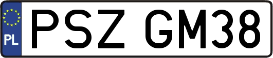 PSZGM38