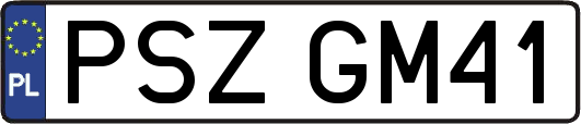 PSZGM41