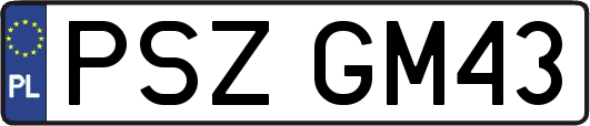 PSZGM43