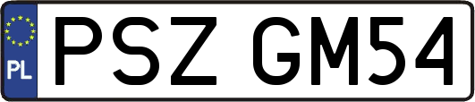 PSZGM54