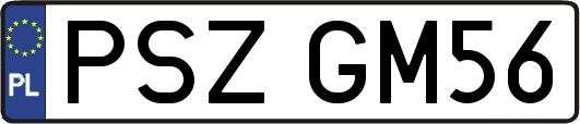 PSZGM56