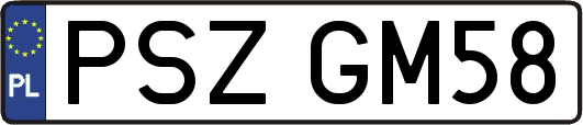 PSZGM58