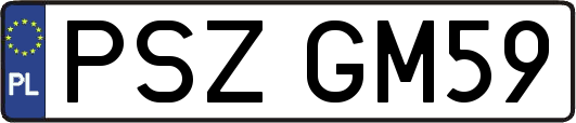 PSZGM59