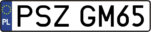 PSZGM65