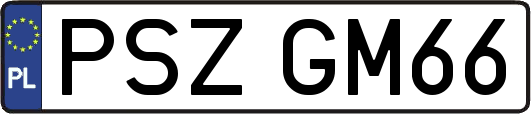PSZGM66