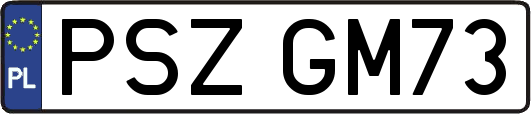 PSZGM73