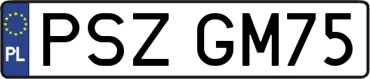 PSZGM75