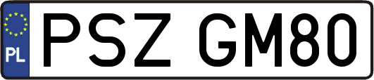 PSZGM80