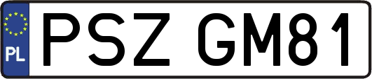 PSZGM81