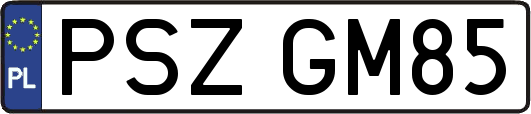 PSZGM85