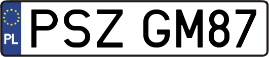 PSZGM87