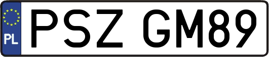 PSZGM89