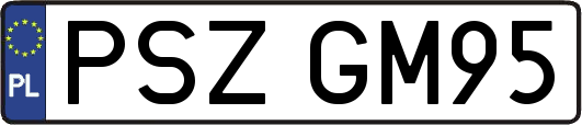 PSZGM95