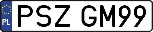 PSZGM99