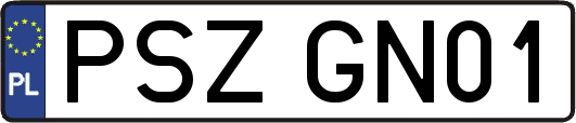 PSZGN01