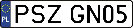 PSZGN05