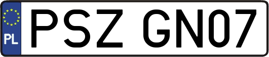 PSZGN07