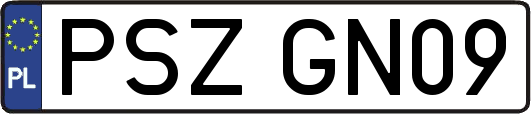 PSZGN09