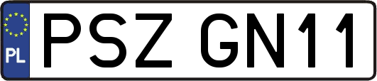 PSZGN11