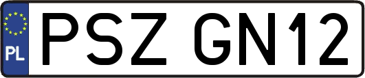 PSZGN12