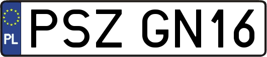 PSZGN16