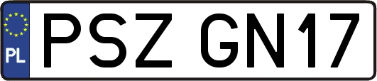 PSZGN17