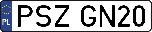 PSZGN20