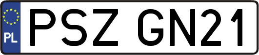 PSZGN21