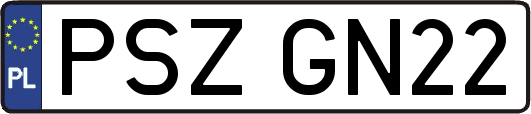 PSZGN22