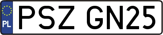 PSZGN25