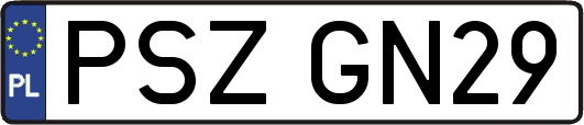 PSZGN29