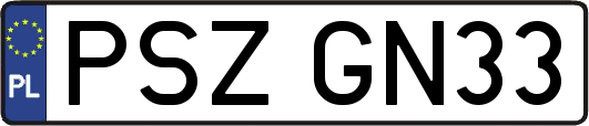 PSZGN33