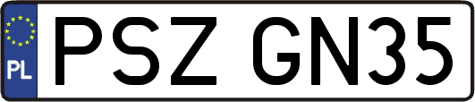 PSZGN35