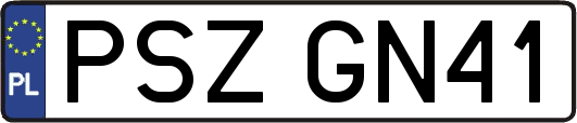 PSZGN41