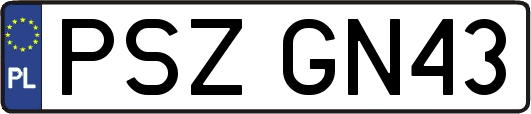 PSZGN43