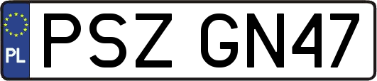 PSZGN47