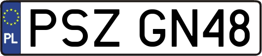 PSZGN48