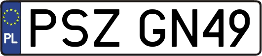 PSZGN49