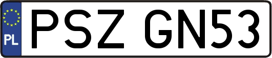 PSZGN53