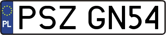 PSZGN54