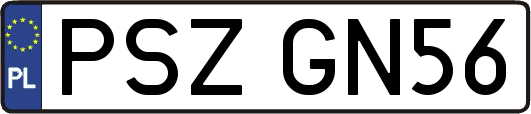PSZGN56