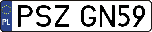 PSZGN59