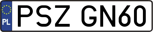 PSZGN60