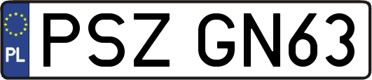 PSZGN63