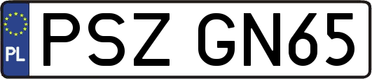 PSZGN65