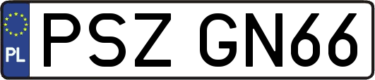 PSZGN66