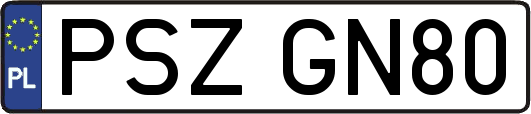 PSZGN80